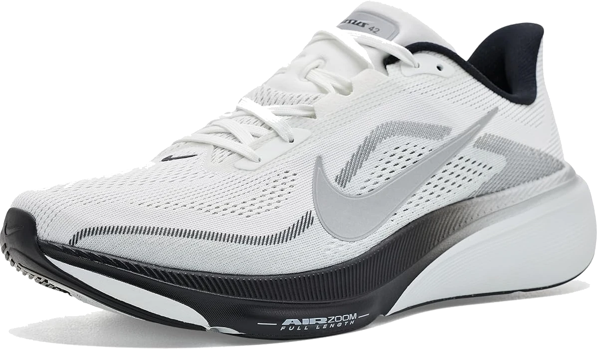 Nike Pegasus 42